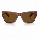 Ray-Ban RB0840S 954/57 51-21, vista frontal sobre fondo blanco.