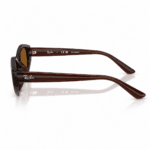 Ray-Ban RB4473D 714/83 con varillas de 145 mm, montura marrón oscuro y lentes marrón polarizado, vista lateral sobre fondo blanco.