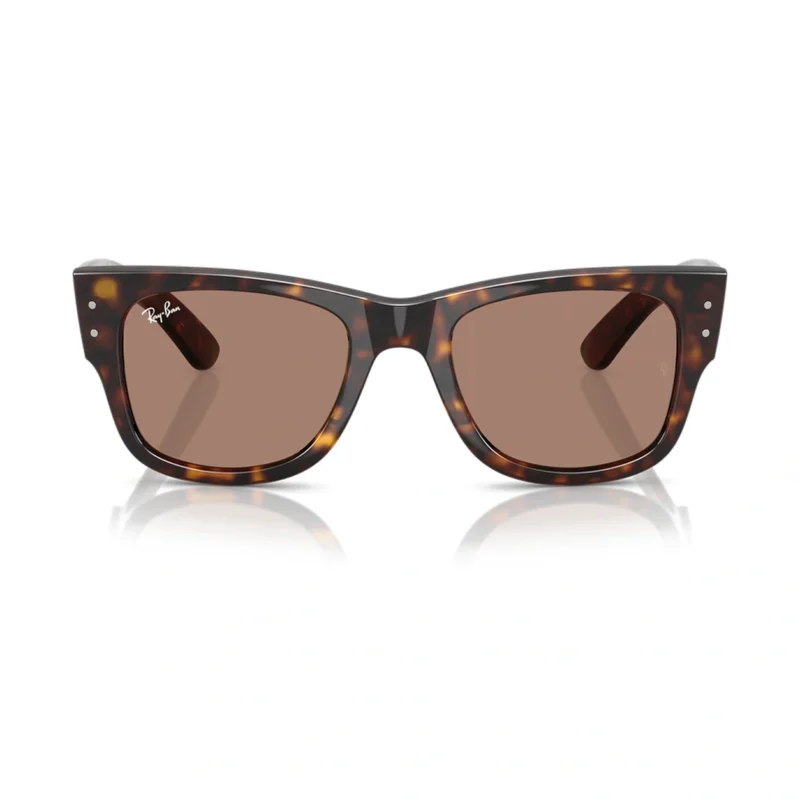 Ray-Ban RB0840S 902/1A vista frontal sobre fondo blanco.